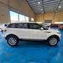 Land Rover Range Rover Evoque 2.2L TD4 Pure 4x4 Blanco - thumbnail 11