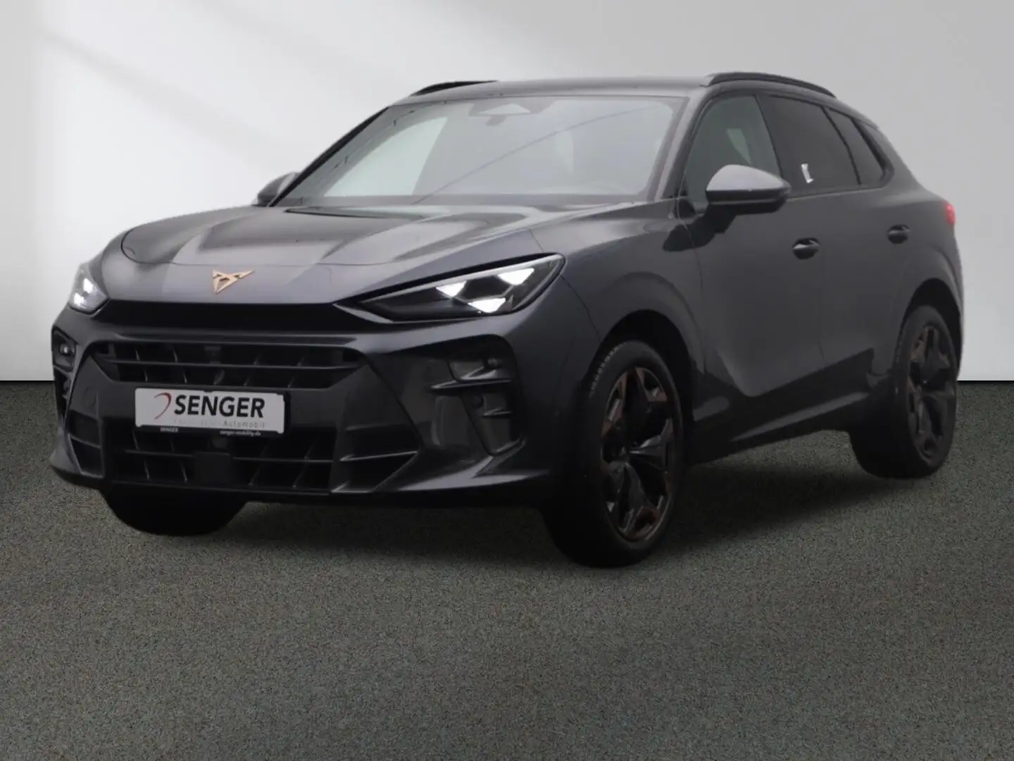 CUPRA Terramar 2.0 TSI 150 kW 4Drive Grau - 1