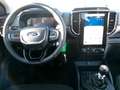 Ford Ranger XLT 2.0L 4x4 ExtraKab AHK Stndhzg Kam ACC Weiß - thumbnail 15