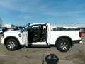 Ford Ranger XLT 2.0L 4x4 ExtraKab AHK Stndhzg Kam ACC Weiß - thumbnail 3