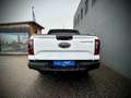 Ford Ranger Ranger Doppelkabine Wildtrak e-4WD 2.3 EcoBoost... Weiß - thumbnail 16