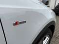 Audi Q3 2.0 TDI QUATTRO S-LINE Weiß - thumbnail 7