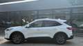 Ford Kuga 2.5 PHEV TITANIUM X / Trekhaak + Winter pack Blanc - thumbnail 12