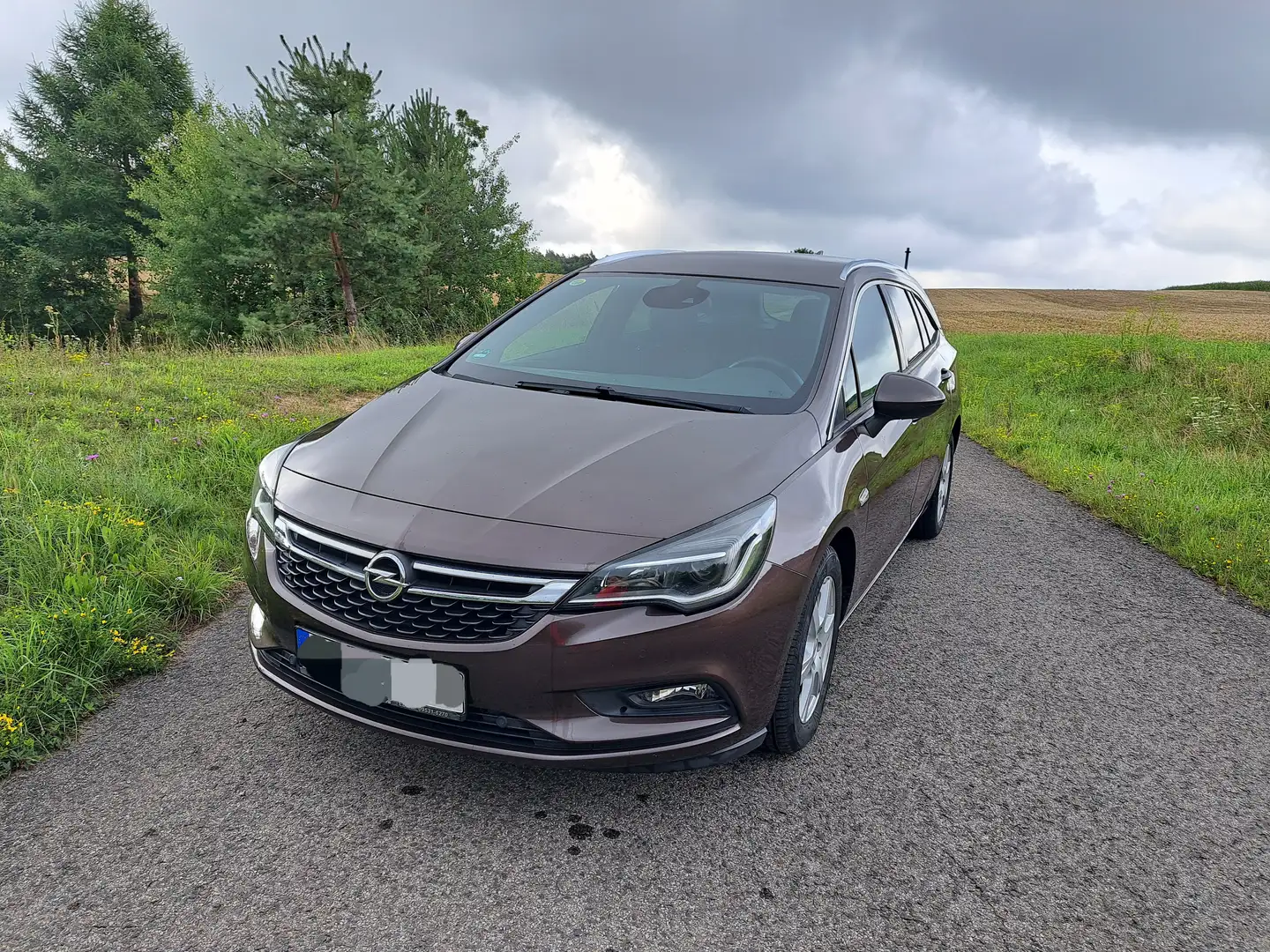 Opel Astra Astra 1.4 Turbo Sports Tourer Dynamic Hnědá - 1