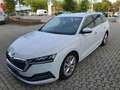 Skoda Octavia Combi 2.0 TDI STYLE LEDER AHK HuD NAVI L Weiß - thumbnail 2