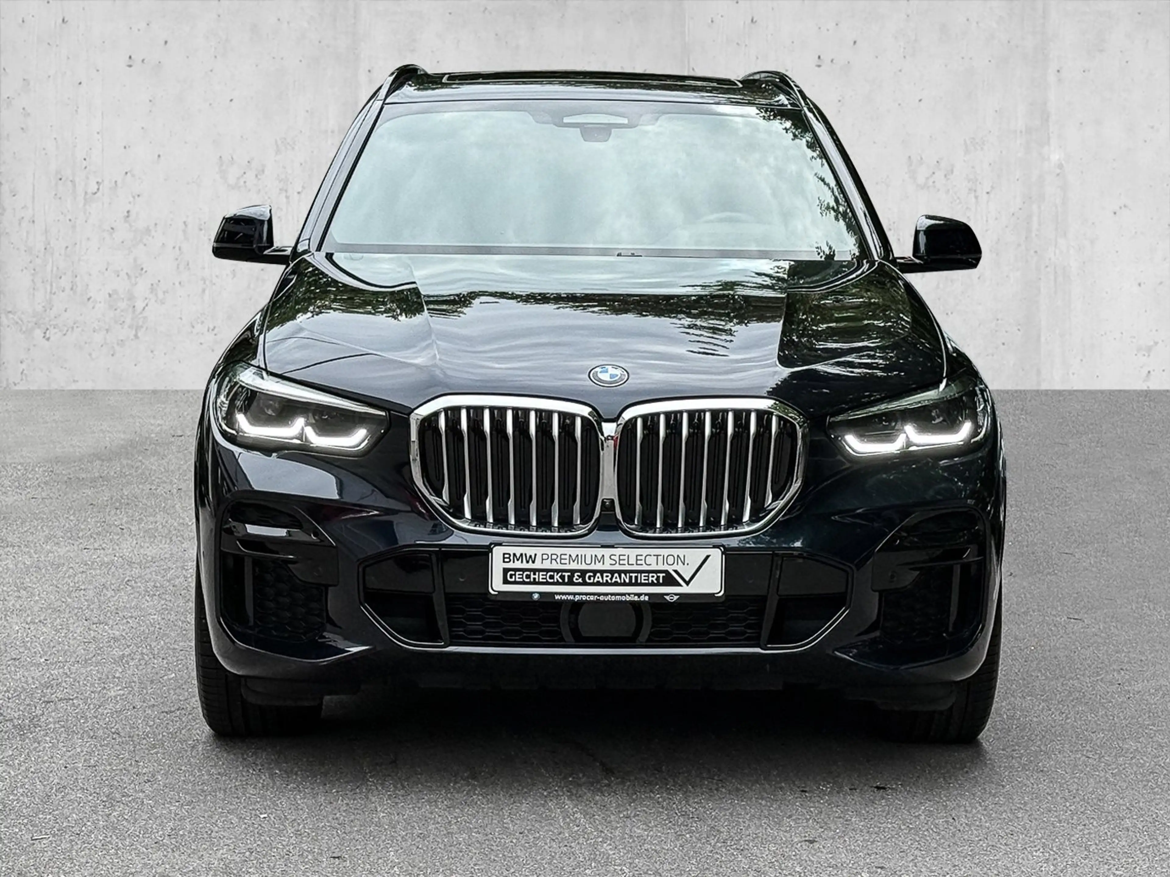 BMW X5 xDrive30d DA PROF,PANO,AHK,Integral,PA+ — photo 3