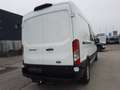 Ford Transit Doka Kasten 2.0 TDCi 350L3 Trend PDC AHK Blanc - thumbnail 4