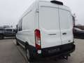 Ford Transit Doka Kasten 2.0 TDCi 350L3 Trend PDC AHK Blanc - thumbnail 5