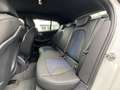 BMW 135 Mi xDrive M-Performance GARANTIE bis 02/2029 Weiß - thumbnail 21