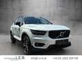 Volvo XC40 T3 R-Design Weiß - thumbnail 3