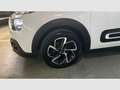 Citroen C3 PureTech 60KW (83CV) Shine Blanco - thumbnail 19