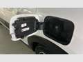 Citroen C3 PureTech 60KW (83CV) Shine Blanco - thumbnail 25