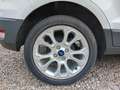 Ford EcoSport 1.0 ecoboost Titanium s&s 125cv my20.25 Білий - thumbnail 16