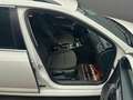Skoda Octavia Elegance Blanc - thumbnail 12