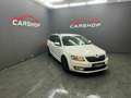 Skoda Octavia Elegance Blanc - thumbnail 3