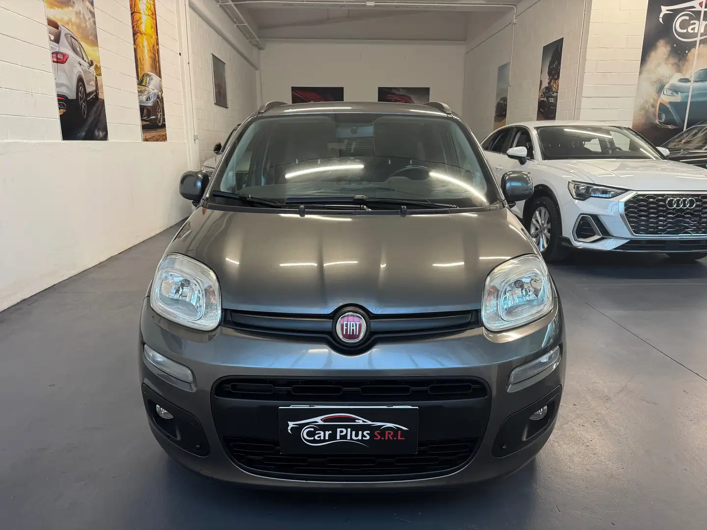Fiat Panda Panda III 1.2 Lounge 69cv Ok neopatentati Grigio - 2