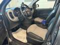 Fiat Panda Panda III 1.2 Lounge 69cv Ok neopatentati Grigio - thumbnail 8
