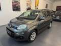 Fiat Panda Panda III 1.2 Lounge 69cv Ok neopatentati Grigio - thumbnail 3