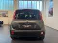 Fiat Panda Panda III 1.2 Lounge 69cv Ok neopatentati Grigio - thumbnail 6