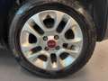 Fiat Panda Panda III 1.2 Lounge 69cv Ok neopatentati Grigio - thumbnail 15