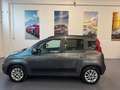 Fiat Panda Panda III 1.2 Lounge 69cv Ok neopatentati Grigio - thumbnail 4
