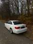 BMW 318 318i Cabrio/e93/SCHECKHEFT/VOLLEDER/TOP GEPFLEGT Weiß - thumbnail 5