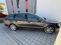 Skoda Superb Superb Combi 2.0 TDI DSG Comfort Braun - thumbnail 2