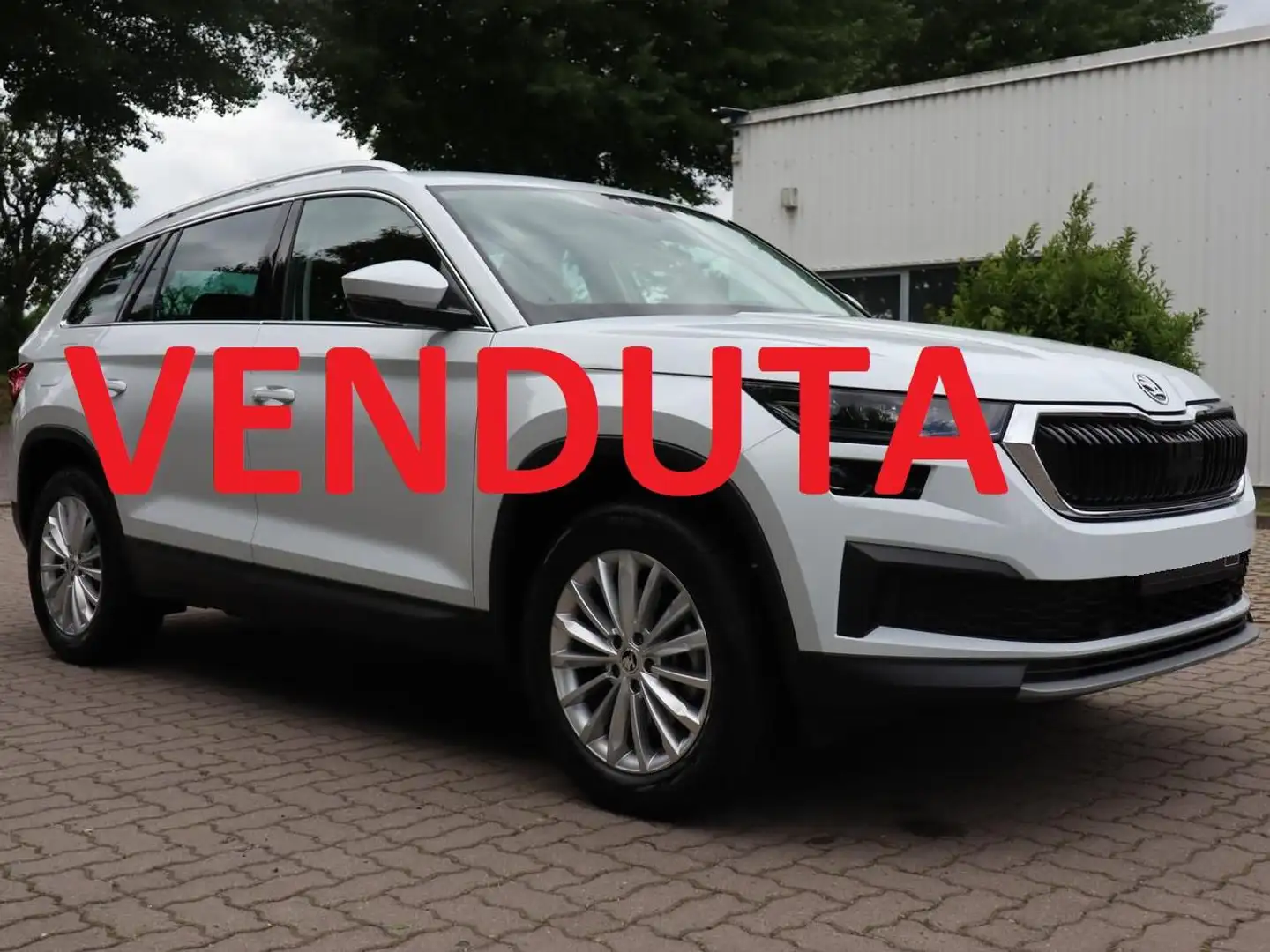 Skoda Kodiaq AMBITION Blanc - 1