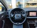 Skoda Karoq 2.0TDI EVO 115cv Executive Navi Camera VetriScuri Blau - thumbnail 17