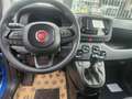 Fiat Panda Panda 1.0  hybrid Icon KM0 - thumbnail 4