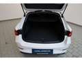 CUPRA Leon Sportstourer 2.0 TDI DSG NAV/ACC/LED/KAMERA Weiß - thumbnail 16