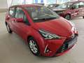 Toyota Yaris 1,5 VVT-ie Active 5-DR 8-fach Rouge - thumbnail 12