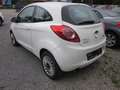 Ford Ka/Ka+ Ka 1.2 Concept Weiß - thumbnail 5