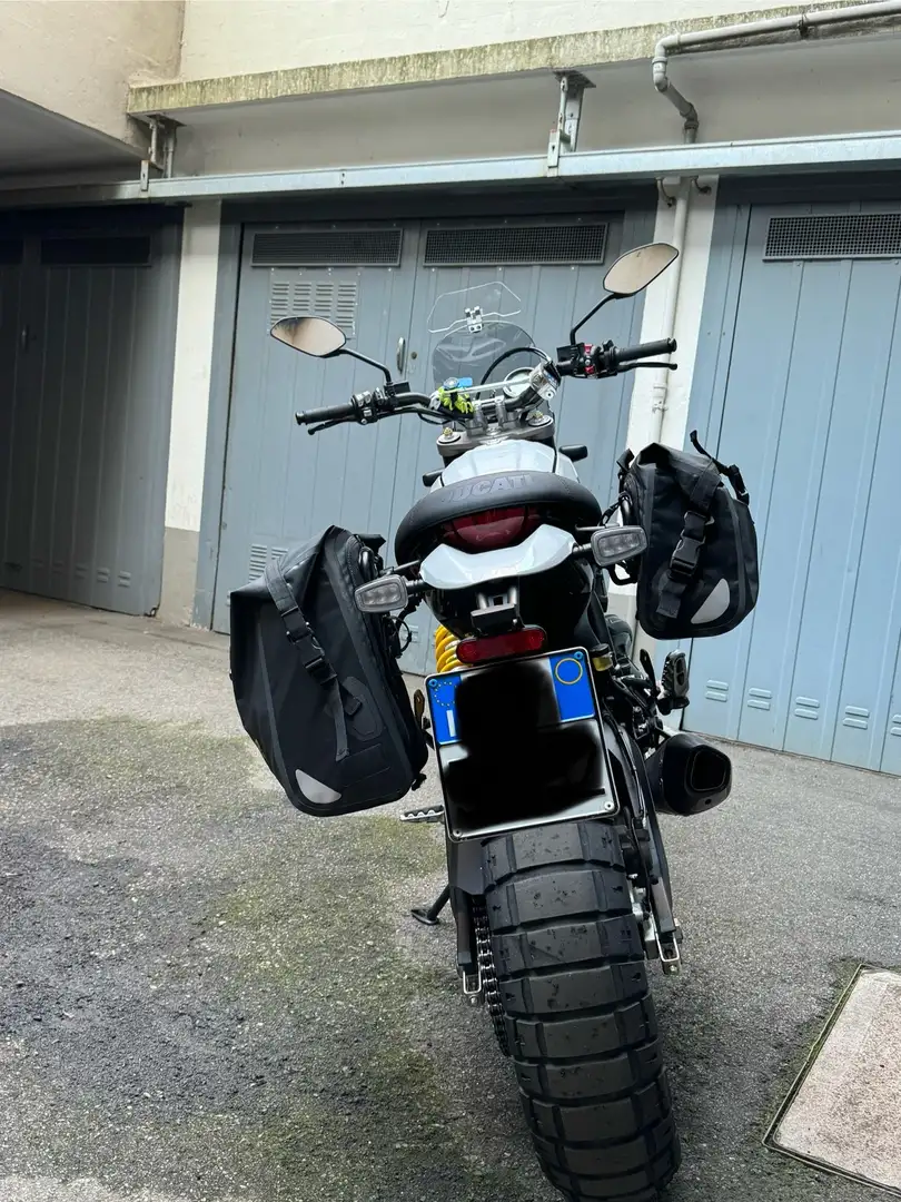 Ducati Scrambler Desert Sled Blu/Azzurro - 2