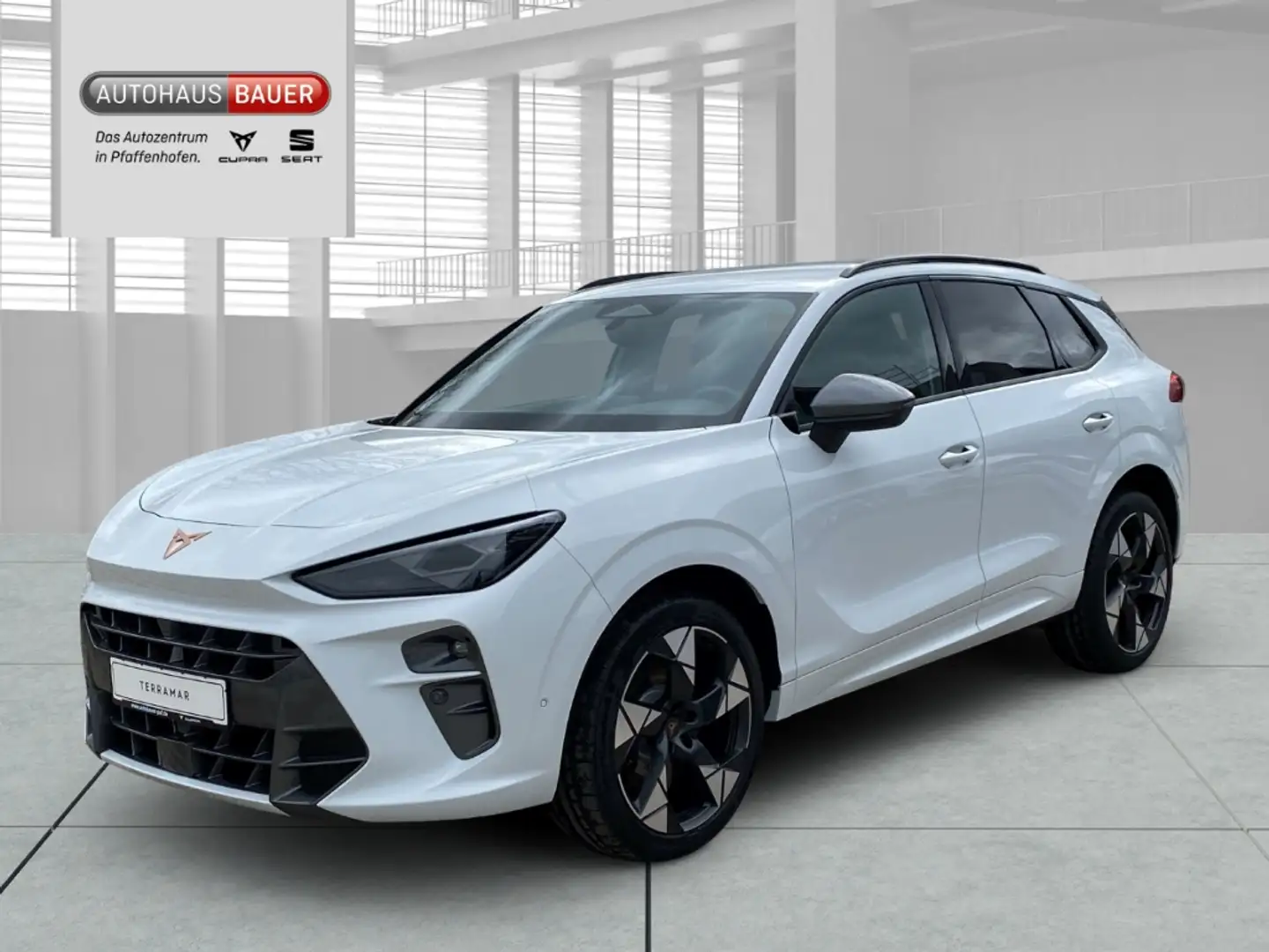 CUPRA Terramar 2.0 TSI 195 kW 4Drive VZ AHK Sennh. Navi 20''ALU Blanc - 1