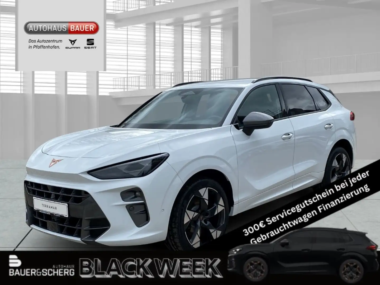 CUPRA Terramar 2.0 TSI 195 kW 4Drive VZ AHK Sennh. Navi 20''ALU Weiß - 1