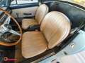 Oldtimer Fiat 1600 s Cabriolet Albastru - thumbnail 14
