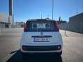 Fiat Panda Panda 1,2 69 Pop Blanc - thumbnail 5