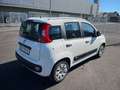 Fiat Panda Panda 1,2 69 Pop Blanc - thumbnail 3