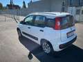 Fiat Panda Panda 1,2 69 Pop Blanc - thumbnail 4