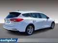 Ford Focus 1.5 EcoBlue 120 CV SW Business Bianco - thumbnail 10