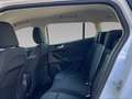 Ford Focus 1.5 EcoBlue 120 CV SW Business Bianco - thumbnail 6