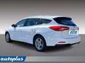Ford Focus 1.5 EcoBlue 120 CV SW Business Bianco - thumbnail 7