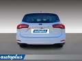 Ford Focus 1.5 EcoBlue 120 CV SW Business Bianco - thumbnail 8