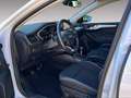 Ford Focus 1.5 EcoBlue 120 CV SW Business Bianco - thumbnail 5