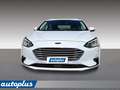 Ford Focus 1.5 EcoBlue 120 CV SW Business Bianco - thumbnail 2