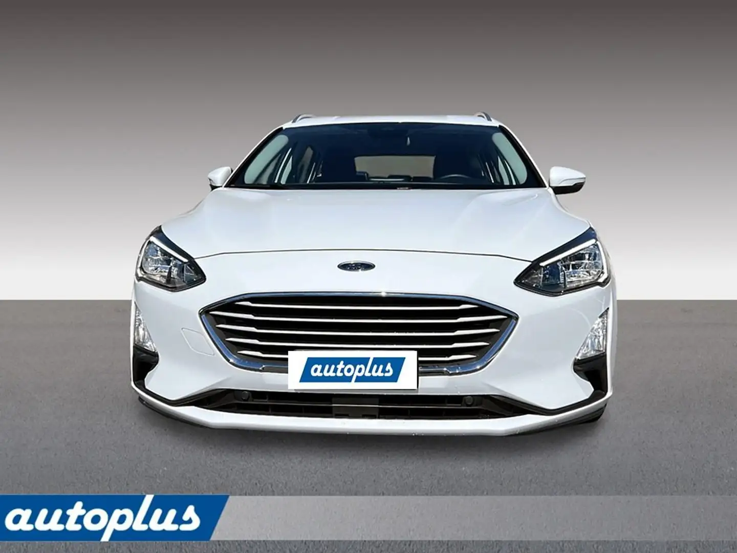 Ford Focus 1.5 EcoBlue 120 CV SW Business Bianco - 2