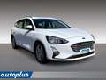 Ford Focus 1.5 EcoBlue 120 CV SW Business Bianco - thumbnail 13
