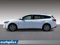 Ford Focus 1.5 EcoBlue 120 CV SW Business Bianco - thumbnail 4