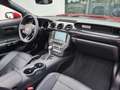 Ford Mustang GT Premium Convertible*BI-XENON*LEDER*NAVI* Piros - thumbnail 13